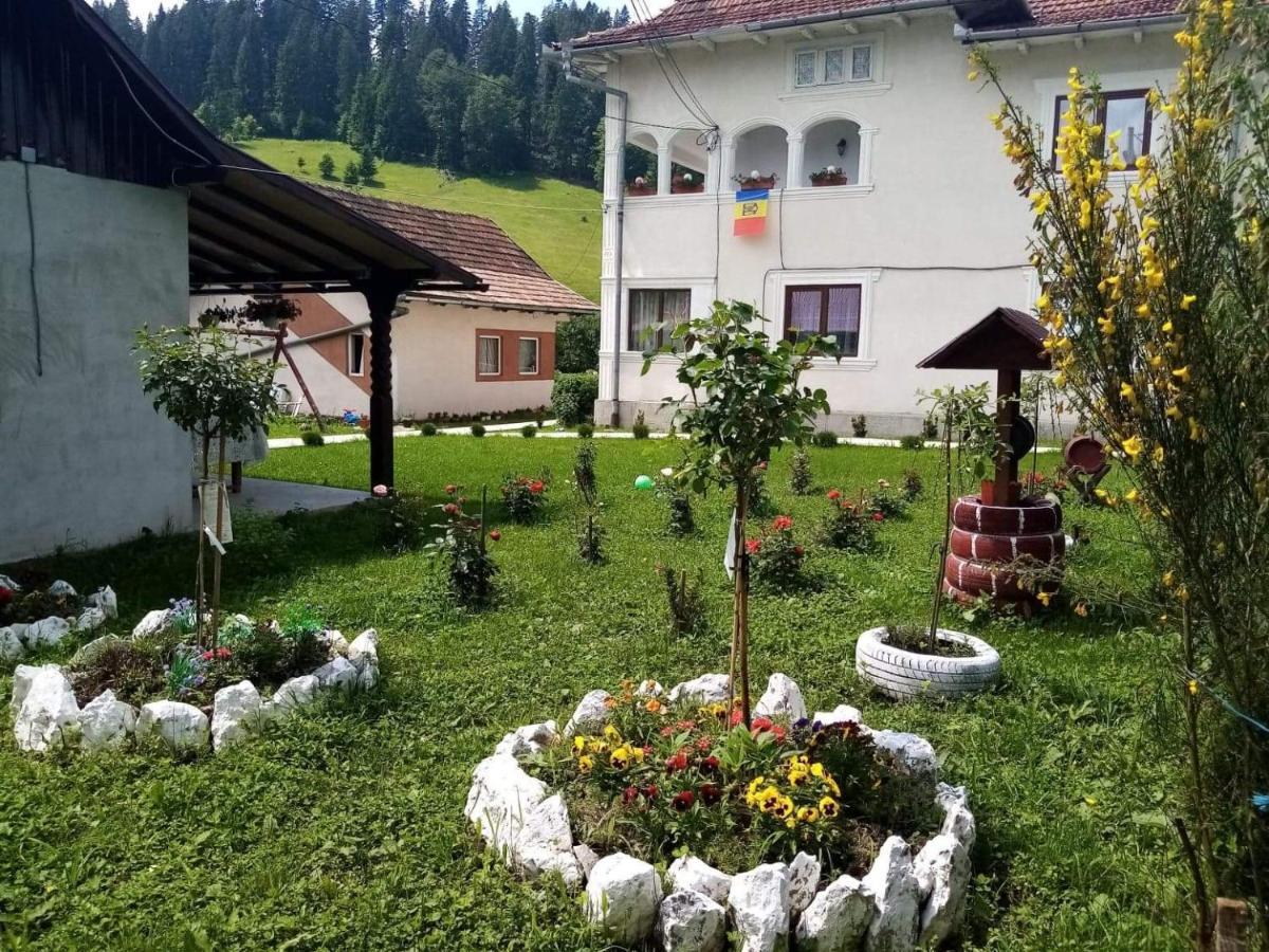 Hotel Casa Ionescu Sadova  Exterior foto