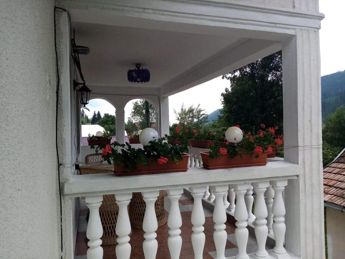 Hotel Casa Ionescu Sadova  Exterior foto