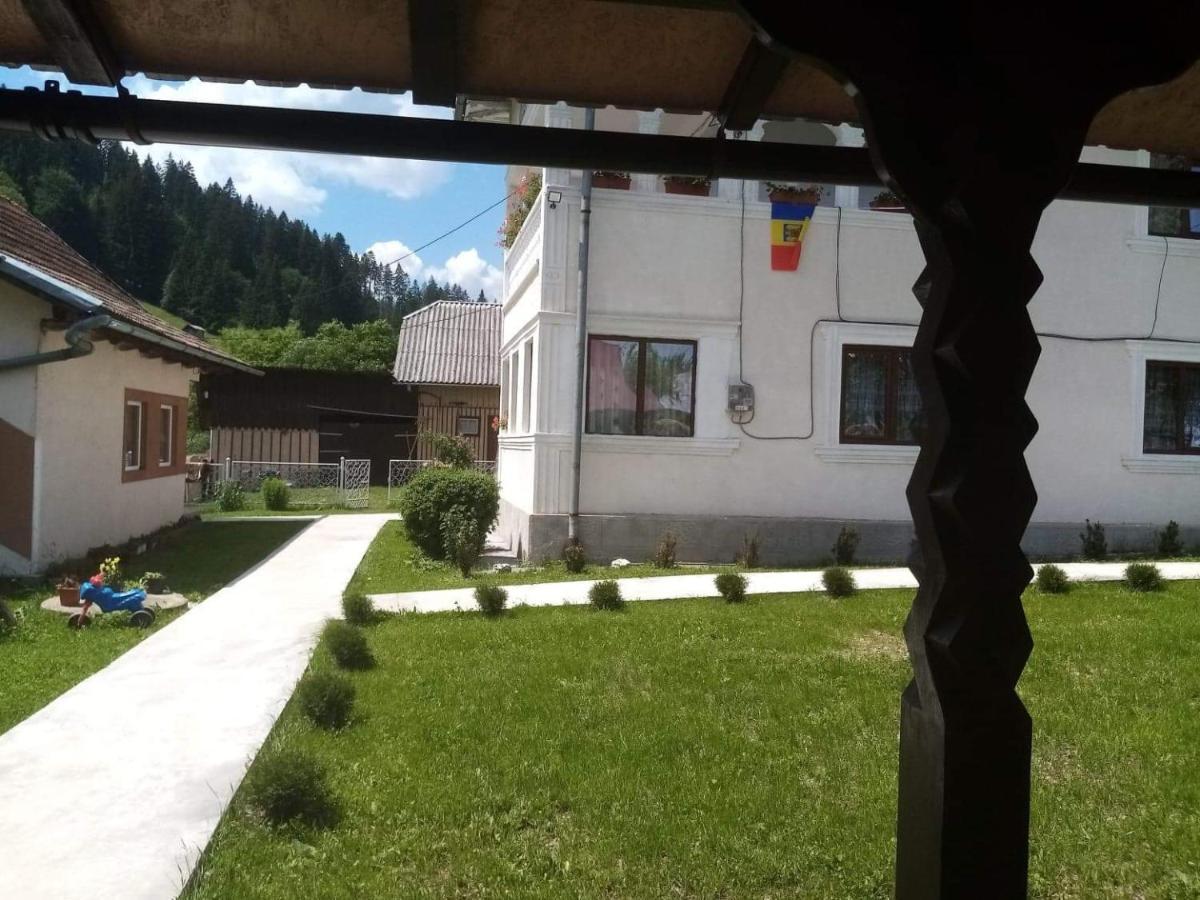 Hotel Casa Ionescu Sadova  Exterior foto