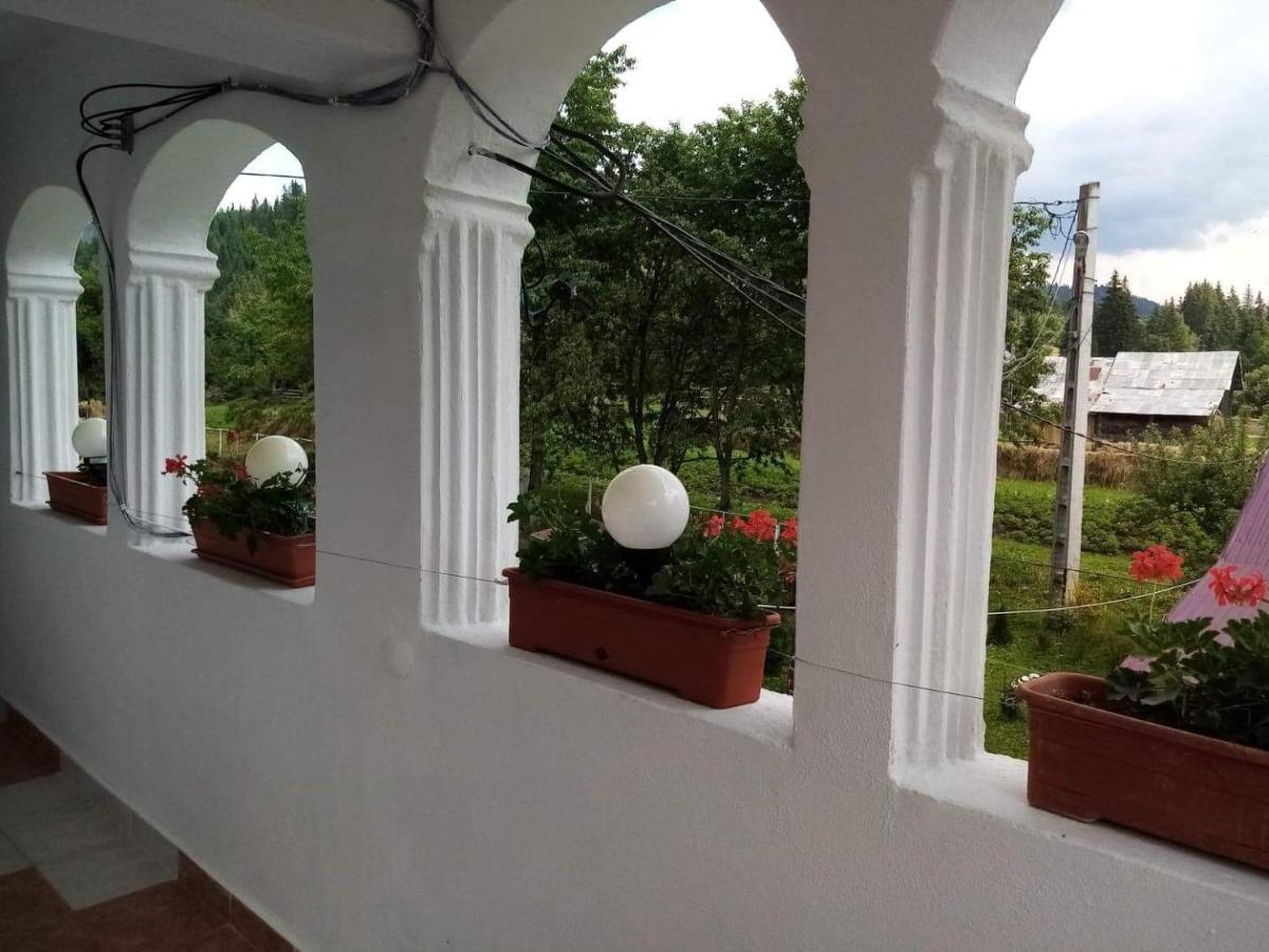 Hotel Casa Ionescu Sadova  Exterior foto